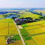 công chứng chia tách đất nông nghiệp