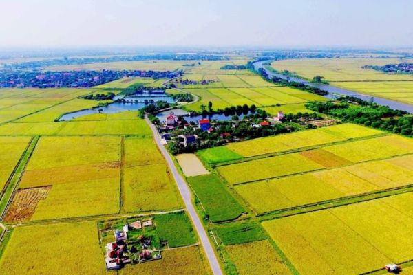 công chứng chia tách đất nông nghiệp