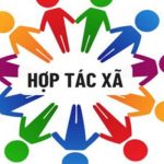 hợp đồng góp vốn hợp tác xã