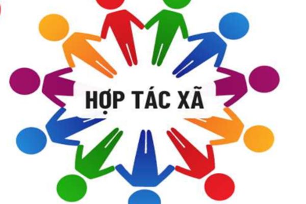 hợp đồng góp vốn hợp tác xã