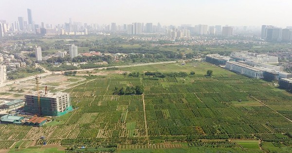 tách thửa đất quy hoạch