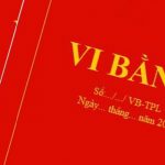 2335-vi-bang