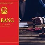 vi-bang (2)