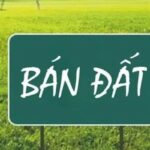 Ủy quyền bán đất