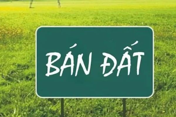 Ủy quyền bán đất