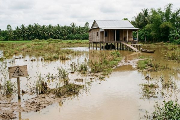 Đất thuộc vùng trũng thấp ngập nước định kỳ: Lưu ý khi lập hợp đồng thuê