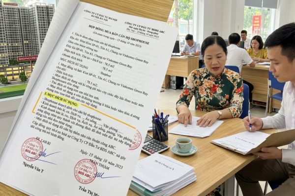 Hợp đồng mua bán shophouse chân đế chung cư: Quy định mục đích dùng